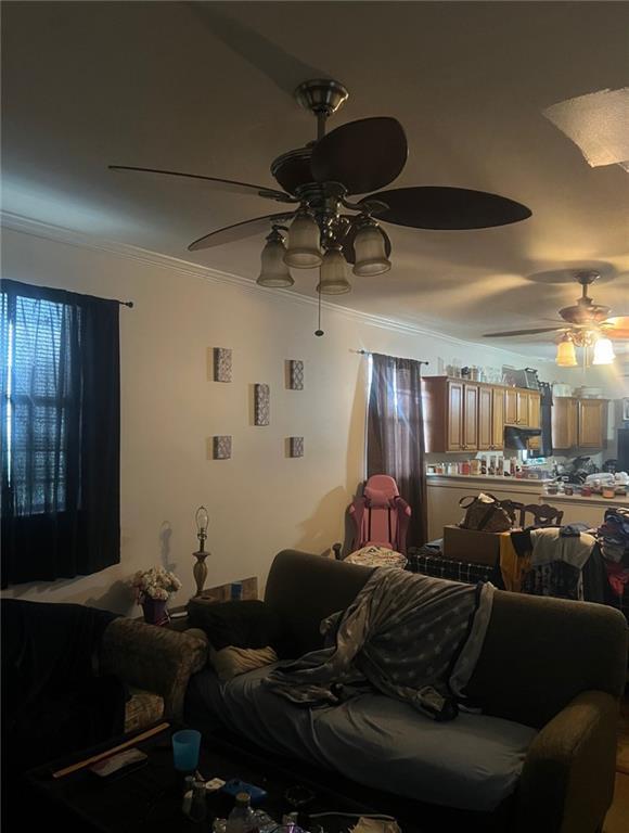 2437 Allen St, New Orleans, LA 70119 - photo 9