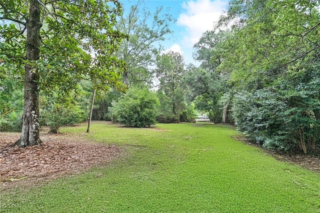 72688 Military Rd, Covington, LA 70435 - photo 23