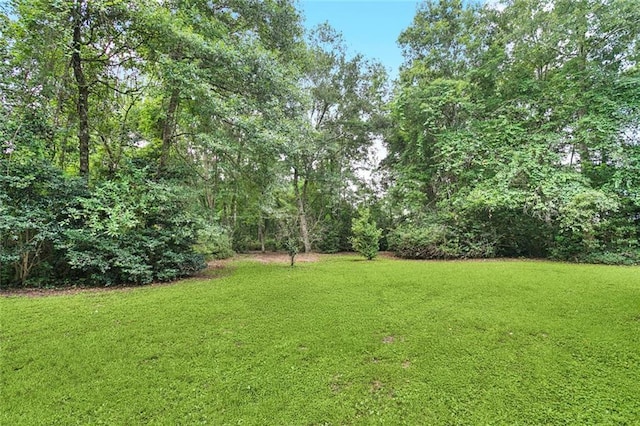 72688 Military Rd, Covington, LA 70435 - photo 24