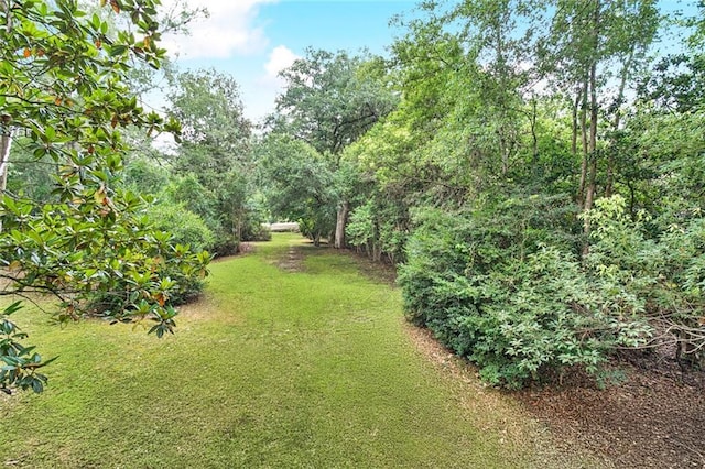 72688 Military Rd, Covington, LA 70435 - photo 25