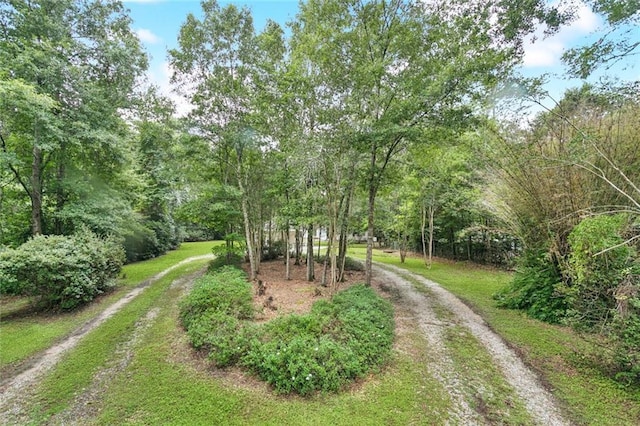 72688 Military Rd, Covington, LA 70435 - photo 26