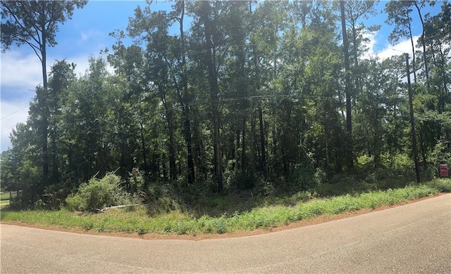0 Lucille Dr, Lacombe, LA 70445 - photo 1