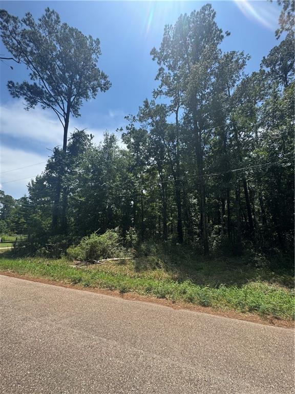 0 Lucille Dr, Lacombe, LA 70445 - photo 2
