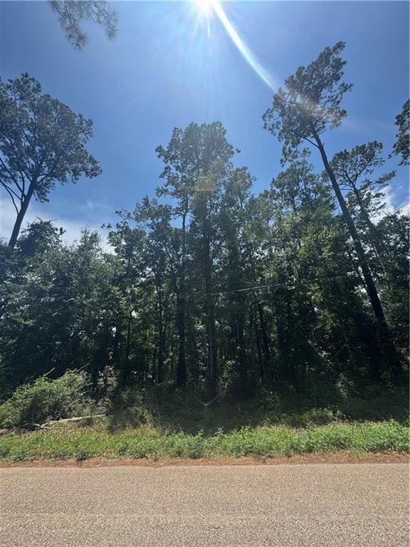 0 Lucille Dr, Lacombe, LA 70445 - photo 3