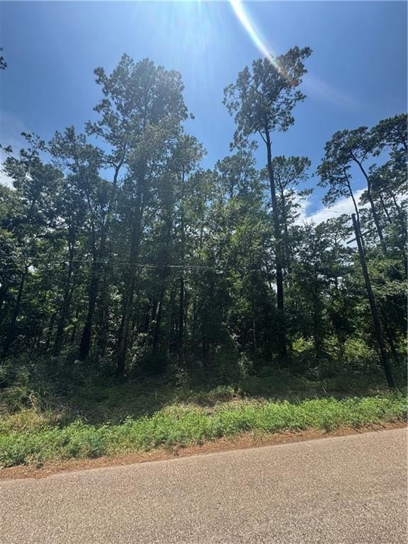 0 Lucille Dr, Lacombe, LA 70445 - photo 4