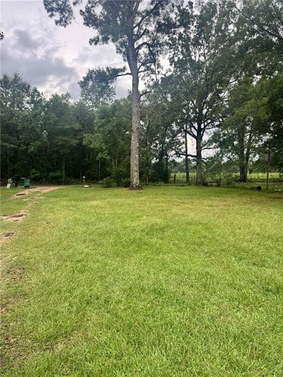 109 Elm Ln, Amite, LA 70422 - photo 10