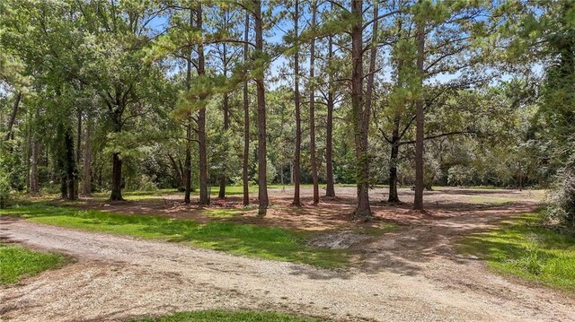 745 Brewster Rd, Madisonville, LA 70447 - photo 1