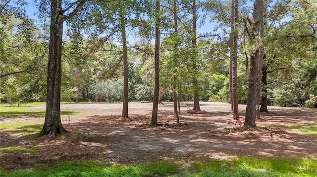 745 Brewster Rd, Madisonville, LA 70447 - photo 2