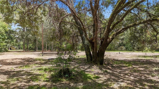 745 Brewster Rd, Madisonville, LA 70447 - photo 4