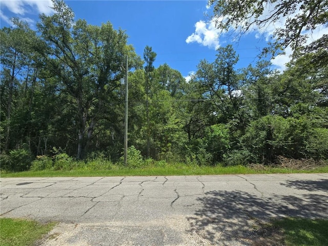 59438 Pine Ridge Rd, Lacombe, LA 70445 - photo 5