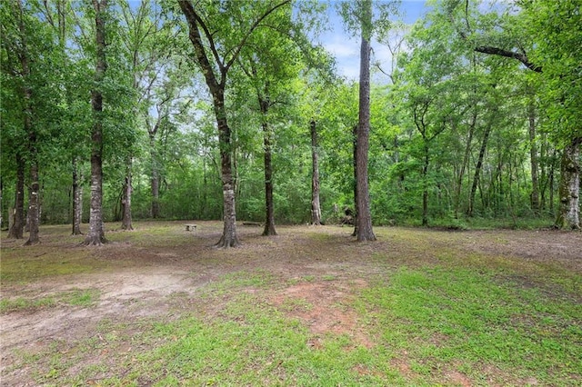75180 Horse Branch Rd, Covington, LA 70435 - photo 9