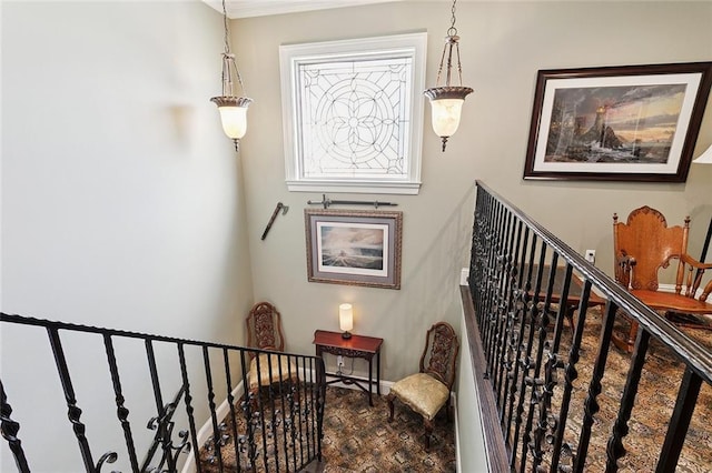 1435 Cherokee Ave, Metairie, LA 70005 - photo 18
