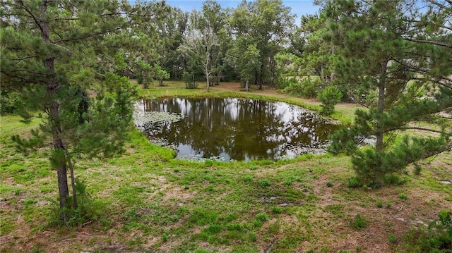 42386 Don Inman Rd, Ponchatoula, LA 70454 - photo 25