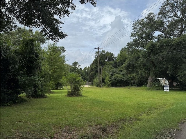 36426 Joe Moore Rd, Pearl River, LA 70452 - photo 4