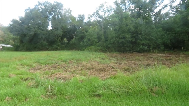 178 Murray Rd, Ponchatoula, LA 70454 - photo 22
