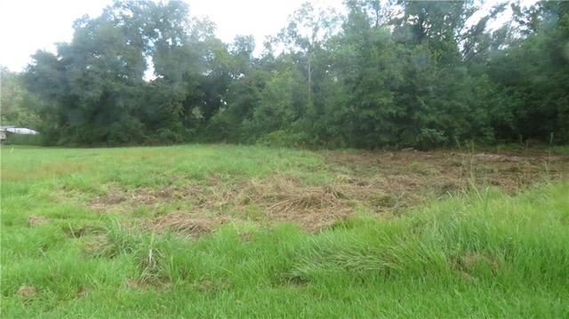 178 Murray Rd, Ponchatoula, LA 70454 - photo 23