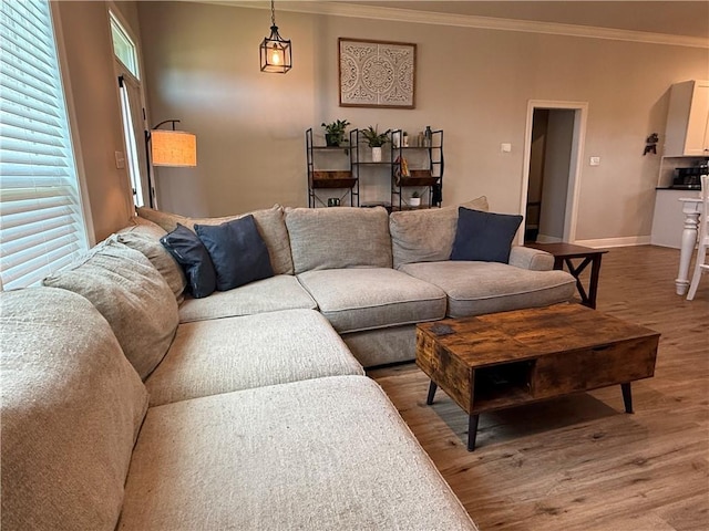 18198 Wolftrack Way, Loranger, LA 70446 - photo 11