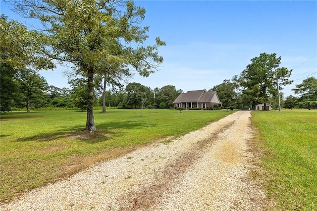16259 Quail Trail Rd, Amite, LA 70422 - photo 30