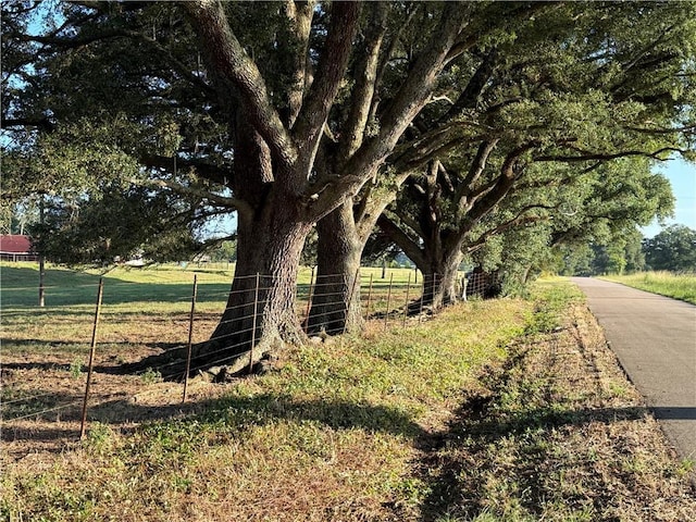 Sharkey Rd, Amite, LA 70422 - photo 4