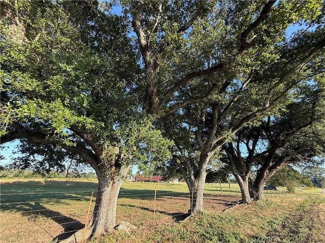 Sharkey Rd, Amite, LA 70422 - photo 5