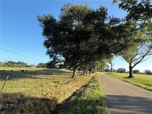 Sharkey Rd, Amite, LA 70422 - photo 6