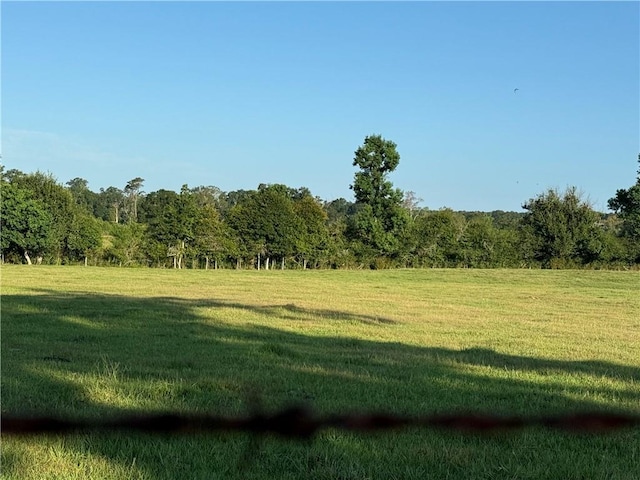 Sharkey Rd, Amite, LA 70422 - photo 9