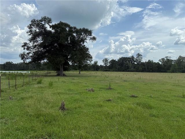 Sharkey Rd, Amite, LA 70422 - photo 11