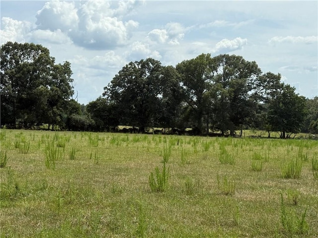 Sharkey Rd, Amite, LA 70422 - photo 14