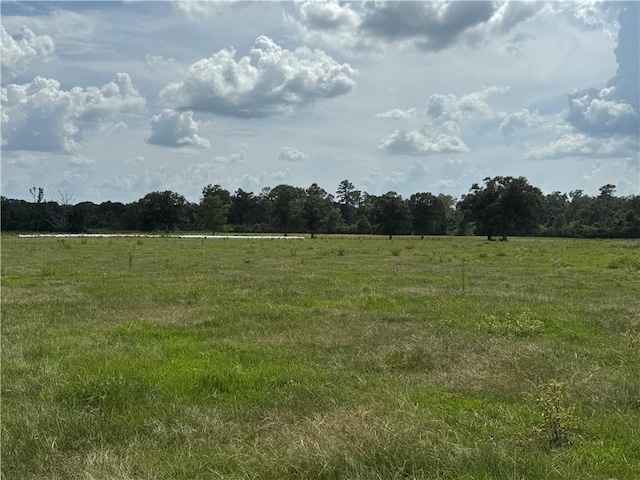 Sharkey Rd, Amite, LA 70422 - photo 15