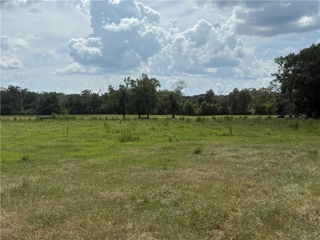 Sharkey Rd, Amite, LA 70422 - photo 16