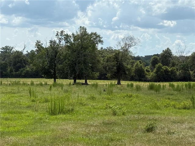 Sharkey Rd, Amite, LA 70422 - photo 17