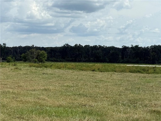 Sharkey Rd, Amite, LA 70422 - photo 18
