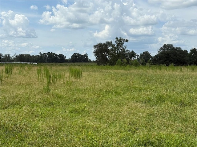 Sharkey Rd, Amite, LA 70422 - photo 20