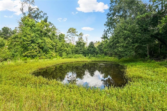 40061 Gill Dr, Ponchatoula, LA 70454 - photo 27