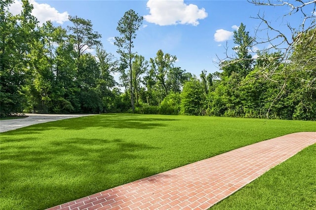 40061 Gill Dr, Ponchatoula, LA 70454 - photo 28