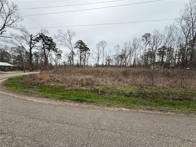 29950 W Bates Rd, Hammond, LA 70403 - photo 4