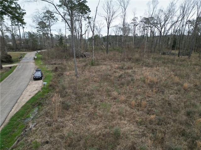 29950 W Bates Rd, Hammond, LA 70403 - photo 5