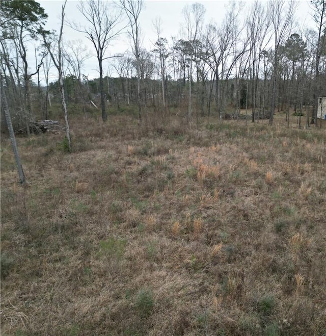 29950 W Bates Rd, Hammond, LA 70403 - photo 6