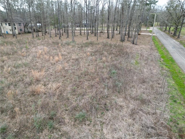 29950 W Bates Rd, Hammond, LA 70403 - photo 8