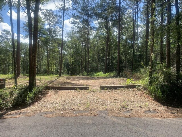 18384 Sanders Rd, Franklinton, LA 70438 - photo 1