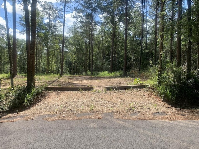 18384 Sanders Rd, Franklinton, LA 70438 - photo 2