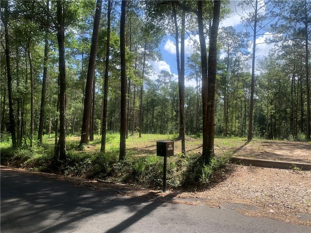 18384 Sanders Rd, Franklinton, LA 70438 - photo 3