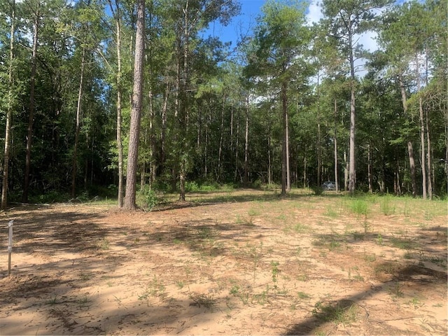 18384 Sanders Rd, Franklinton, LA 70438 - photo 4