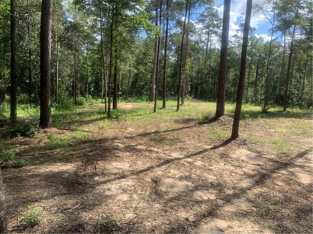 18384 Sanders Rd, Franklinton, LA 70438 - photo 5