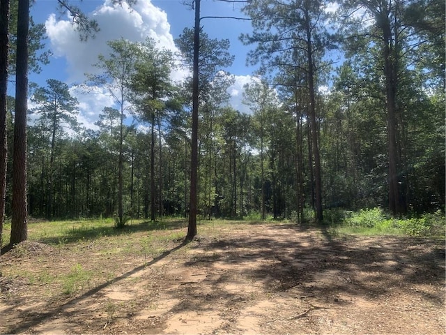 18384 Sanders Rd, Franklinton, LA 70438 - photo 7
