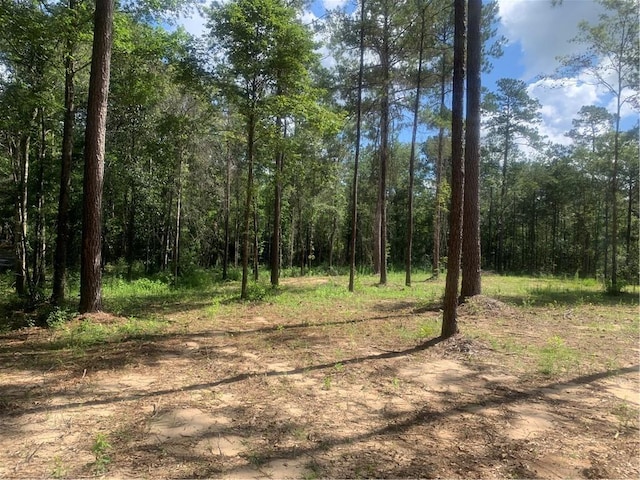 18384 Sanders Rd, Franklinton, LA 70438 - photo 8