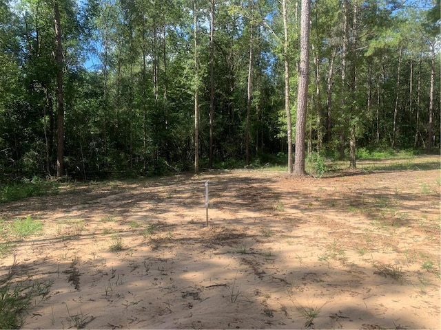 18384 Sanders Rd, Franklinton, LA 70438 - photo 9