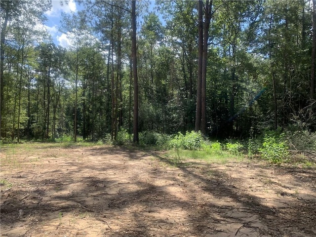 18384 Sanders Rd, Franklinton, LA 70438 - photo 10