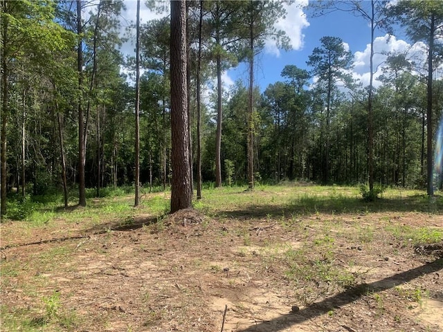 18384 Sanders Rd, Franklinton, LA 70438 - photo 11
