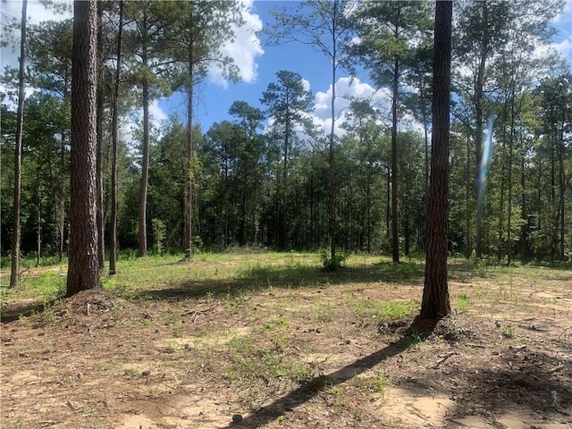 18384 Sanders Rd, Franklinton, LA 70438 - photo 12